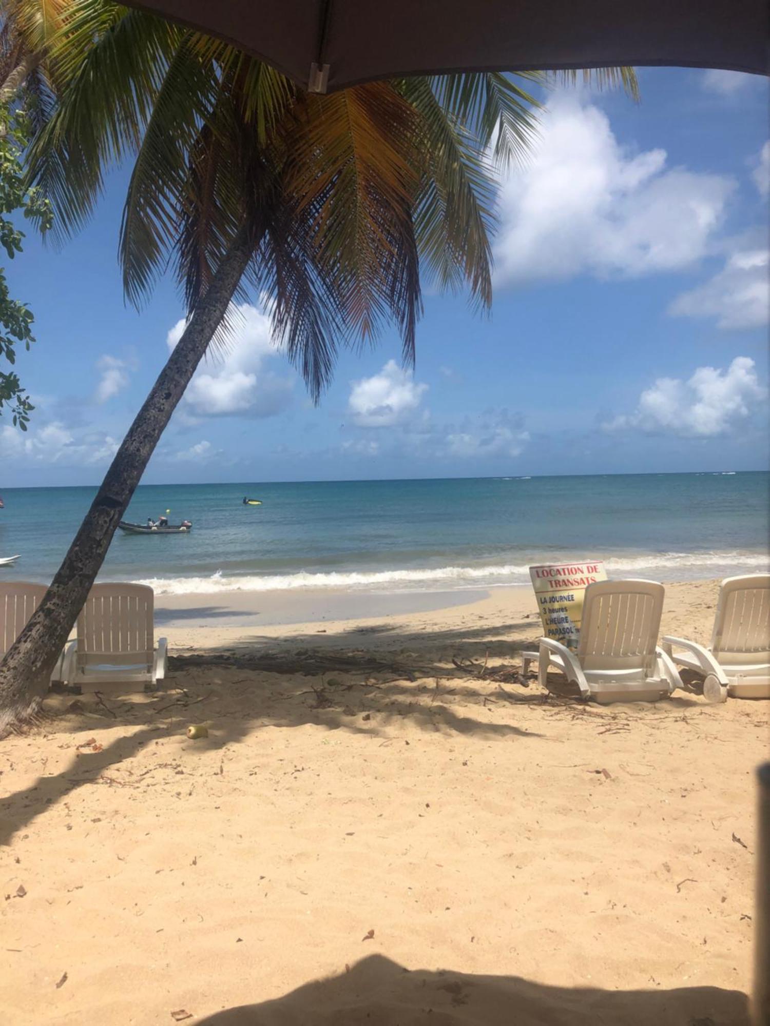 Case Coco A Sainte Anne Avec Wifi Vue Mer Екстериор снимка